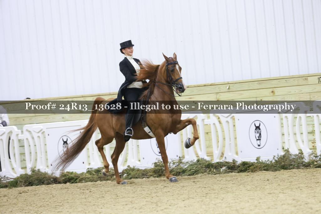 Proof Number 24R13_13628
