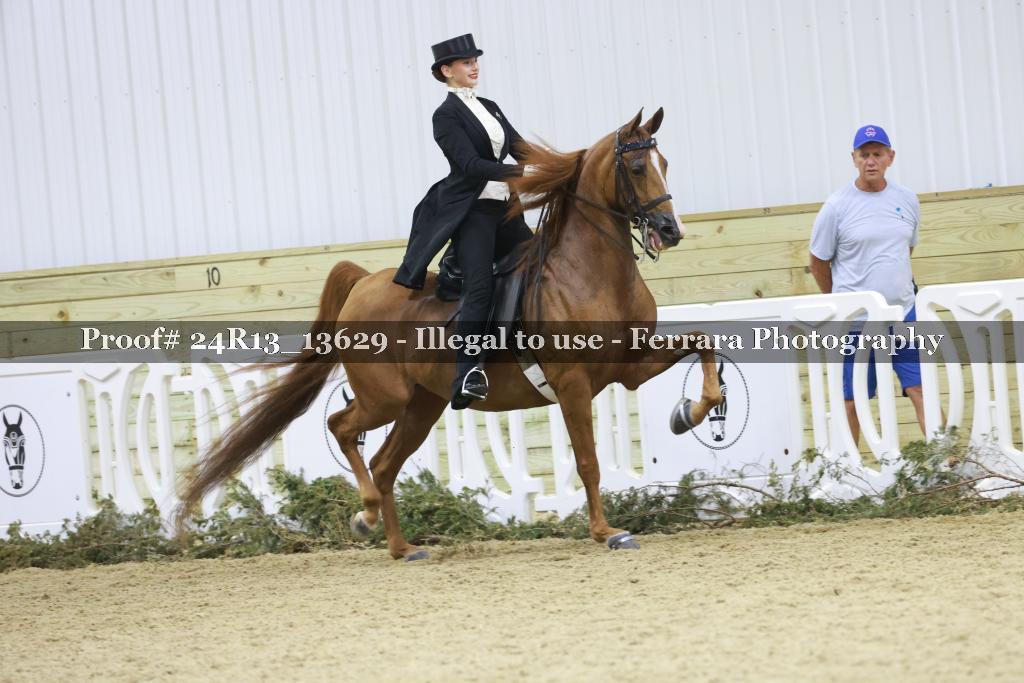 Proof Number 24R13_13629