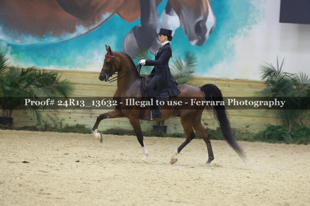 Proof Number 24R13_13632