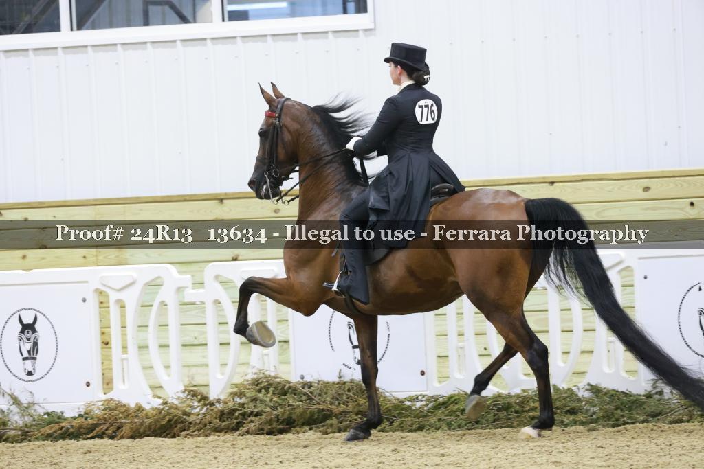Proof Number 24R13_13634