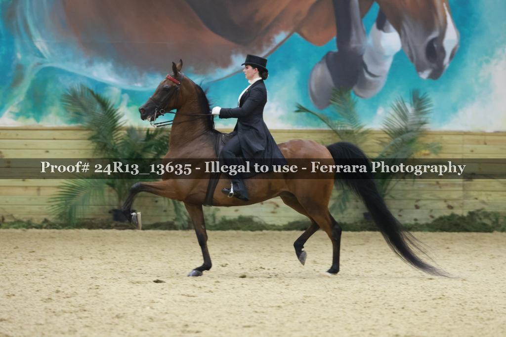 Proof Number 24R13_13635