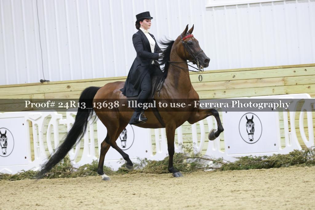 Proof Number 24R13_13638