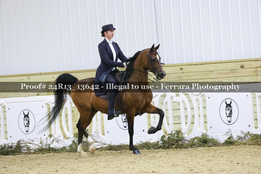 Proof Number 24R13_13642