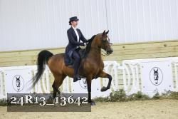 24R13_13642 thumbnail