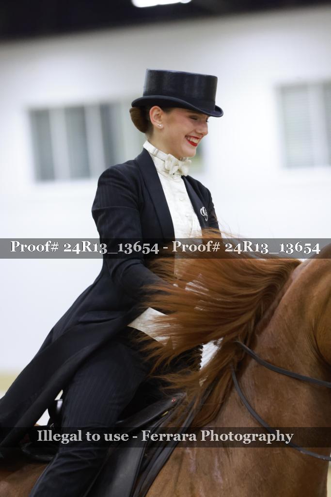 Proof Number 24R13_13654