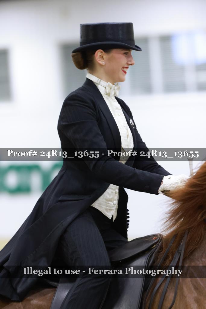 Proof Number 24R13_13655