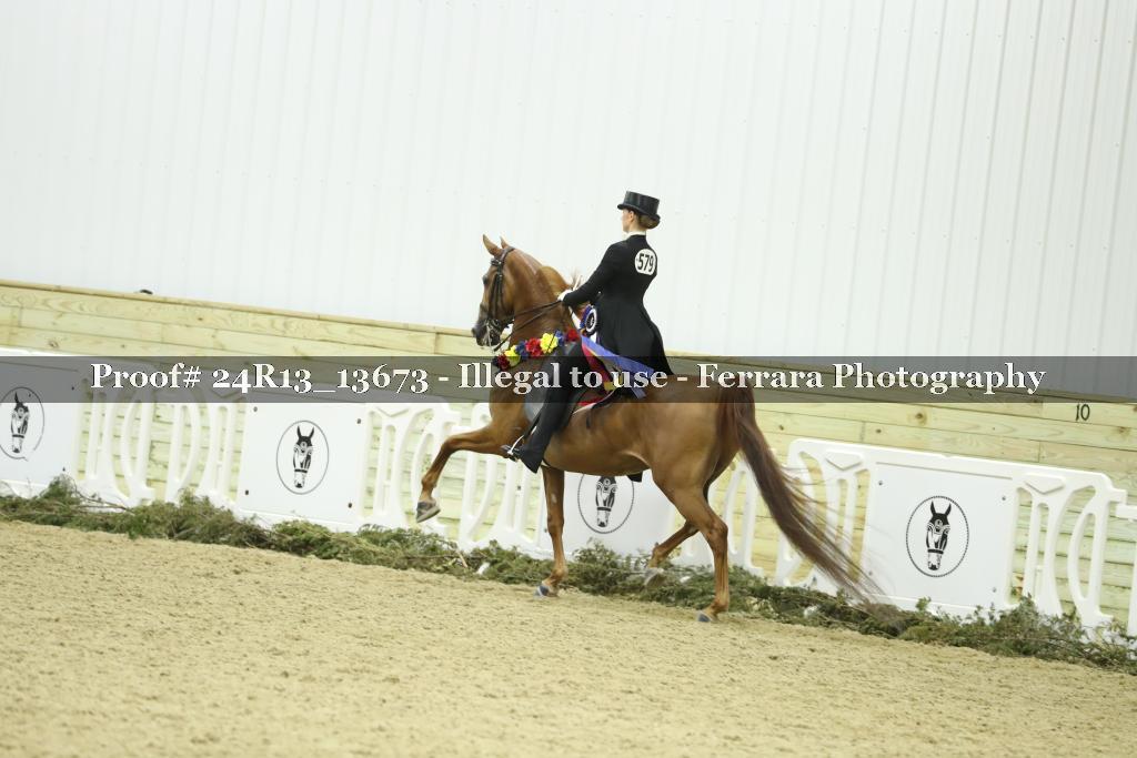 Proof Number 24R13_13673