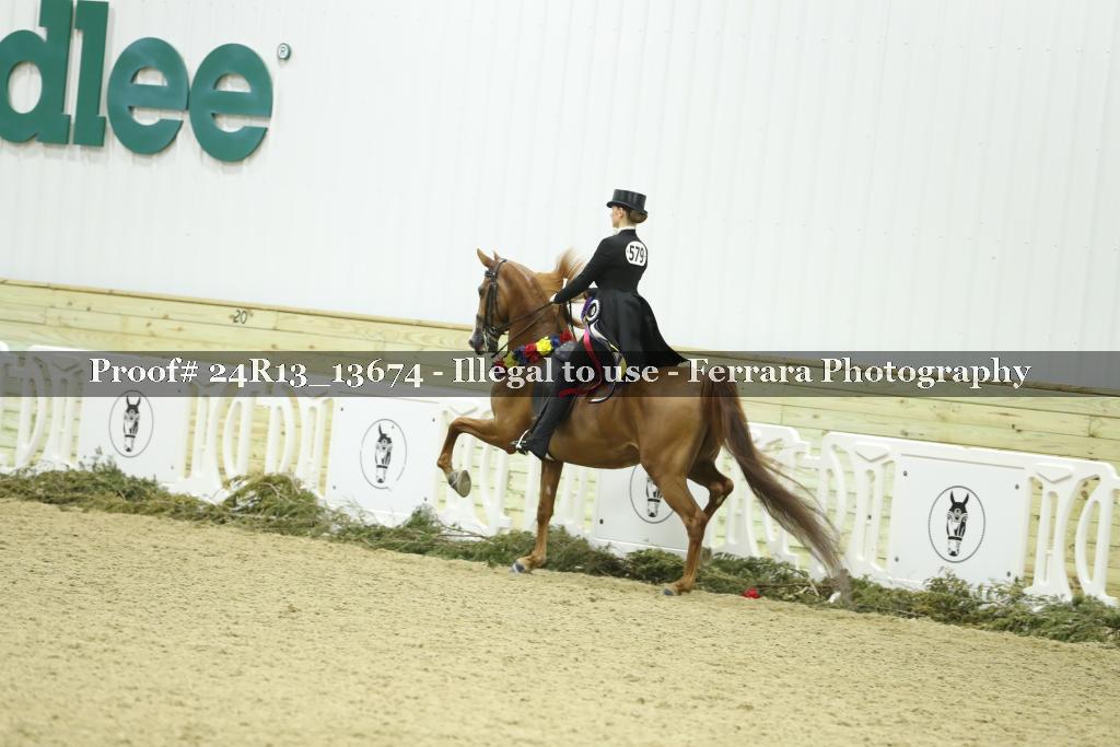 Proof Number 24R13_13674