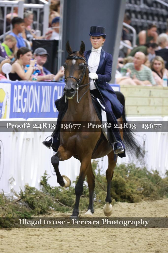 Proof Number 24R13_13677