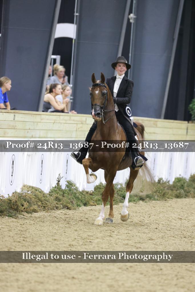 Proof Number 24R13_13687
