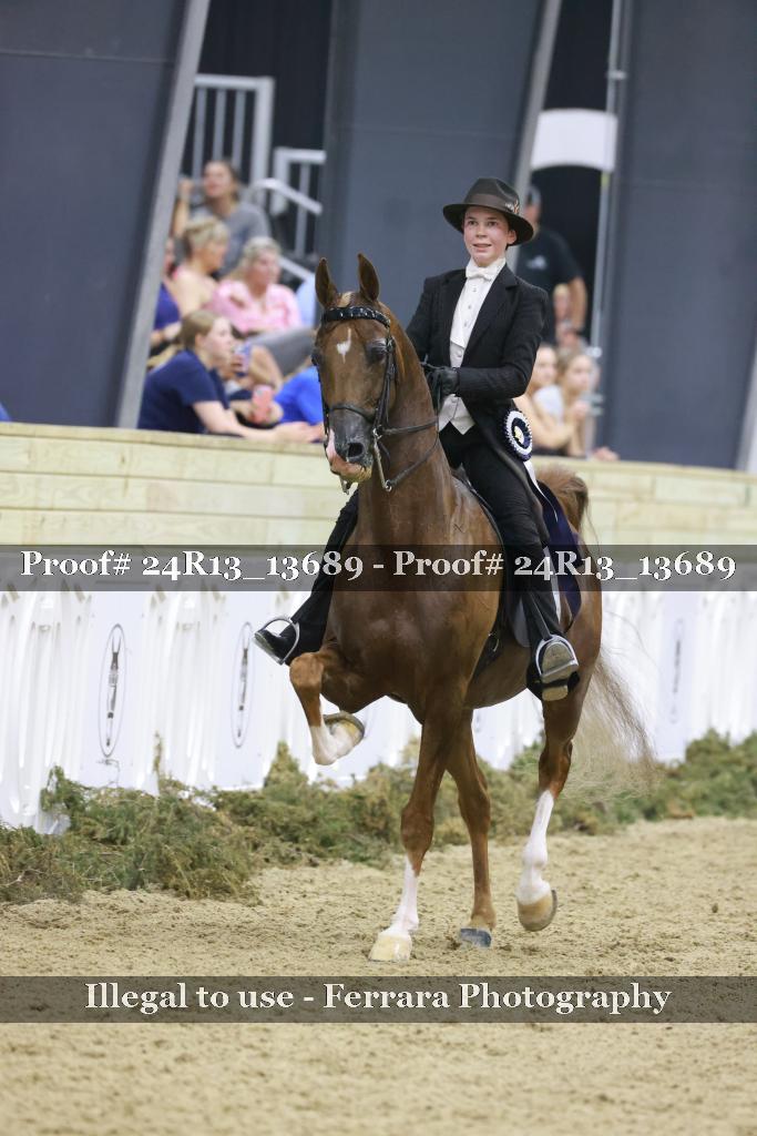 Proof Number 24R13_13689