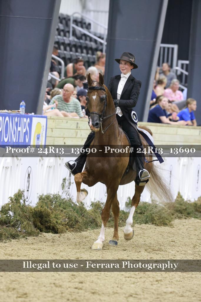Proof Number 24R13_13690