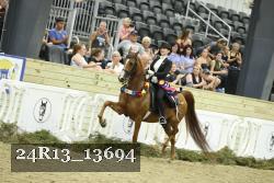 24R13_13694 thumbnail