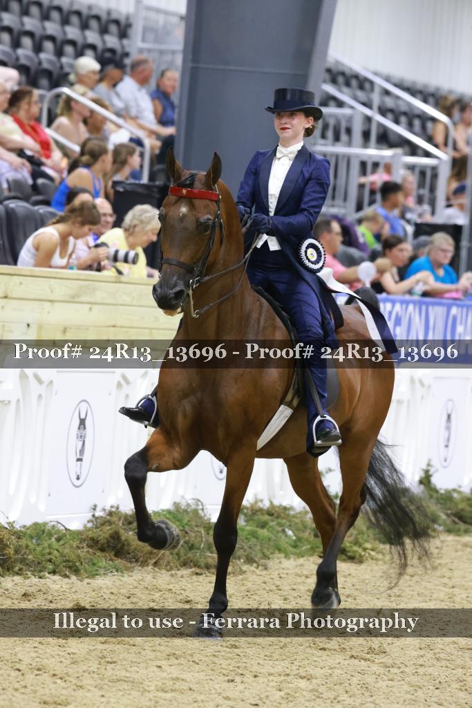 Proof Number 24R13_13696