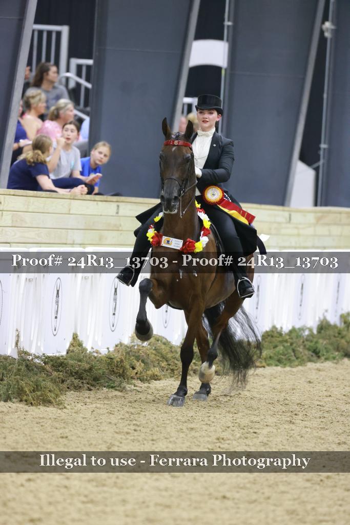 Proof Number 24R13_13703