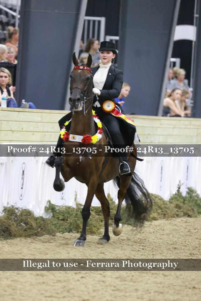 Proof Number 24R13_13705