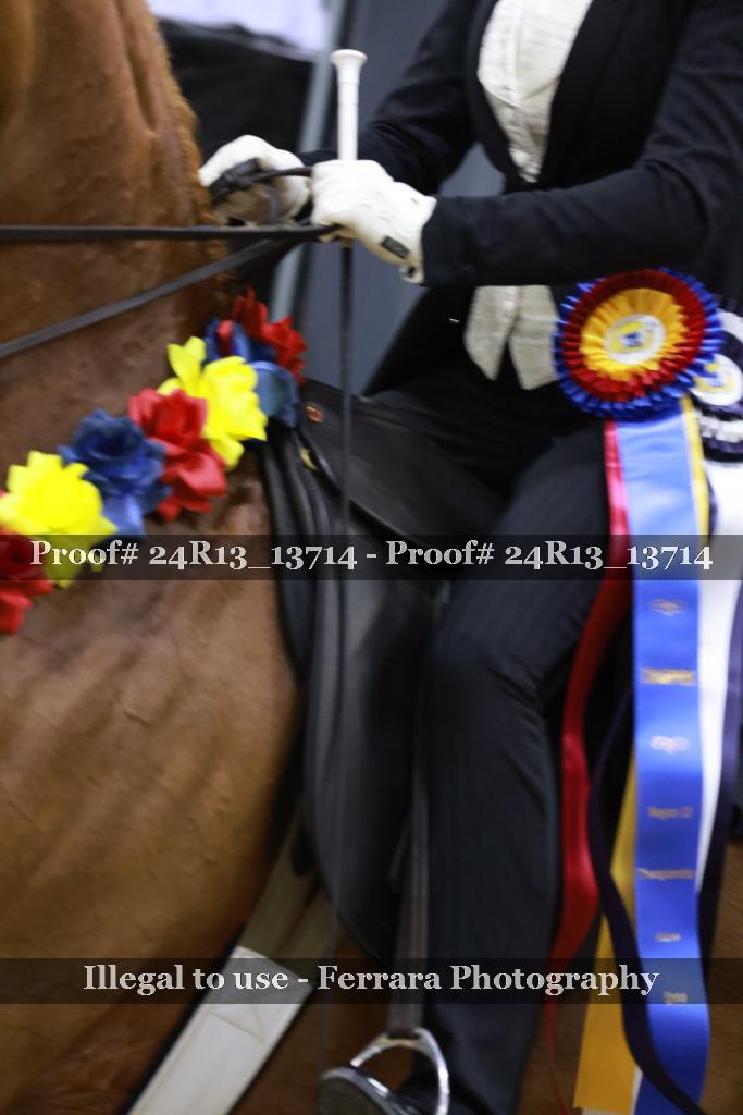 Proof Number 24R13_13714