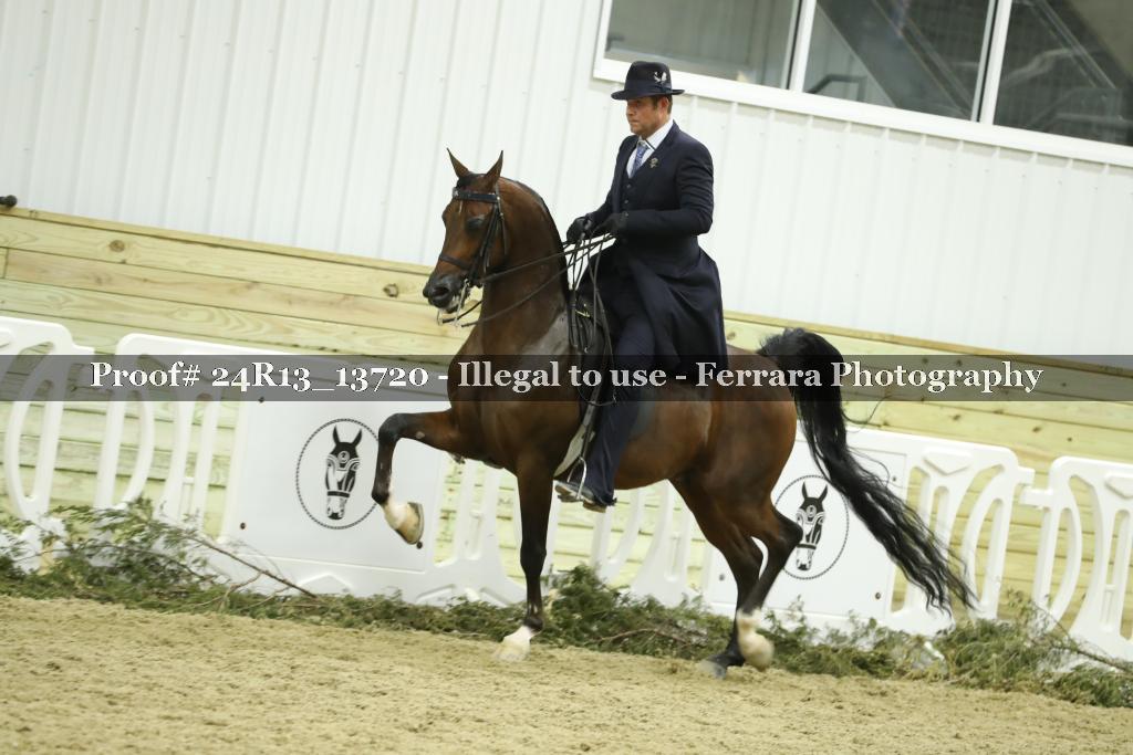 Proof Number 24R13_13720