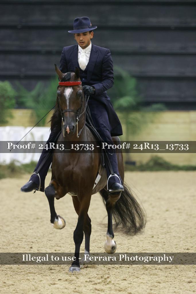 Proof Number 24R13_13733