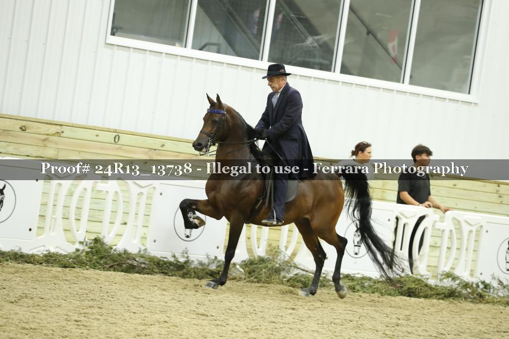 Proof Number 24R13_13738
