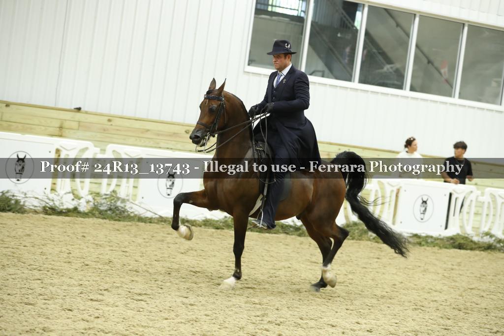 Proof Number 24R13_13743