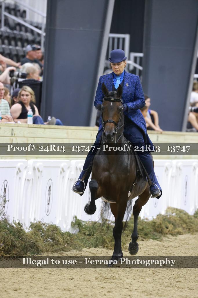 Proof Number 24R13_13747