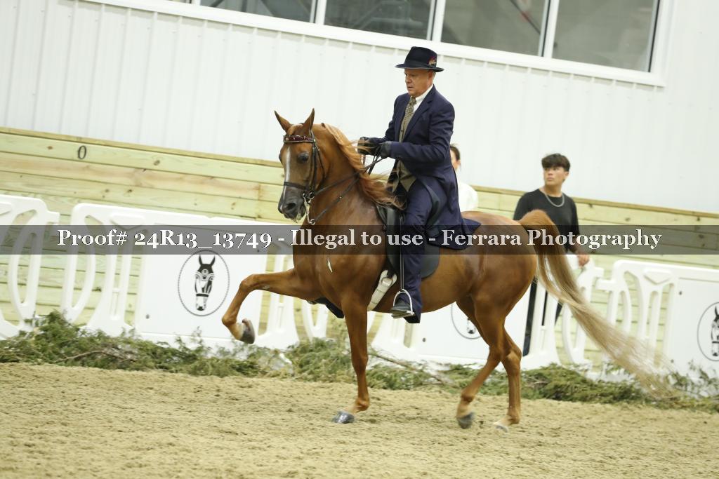 Proof Number 24R13_13749