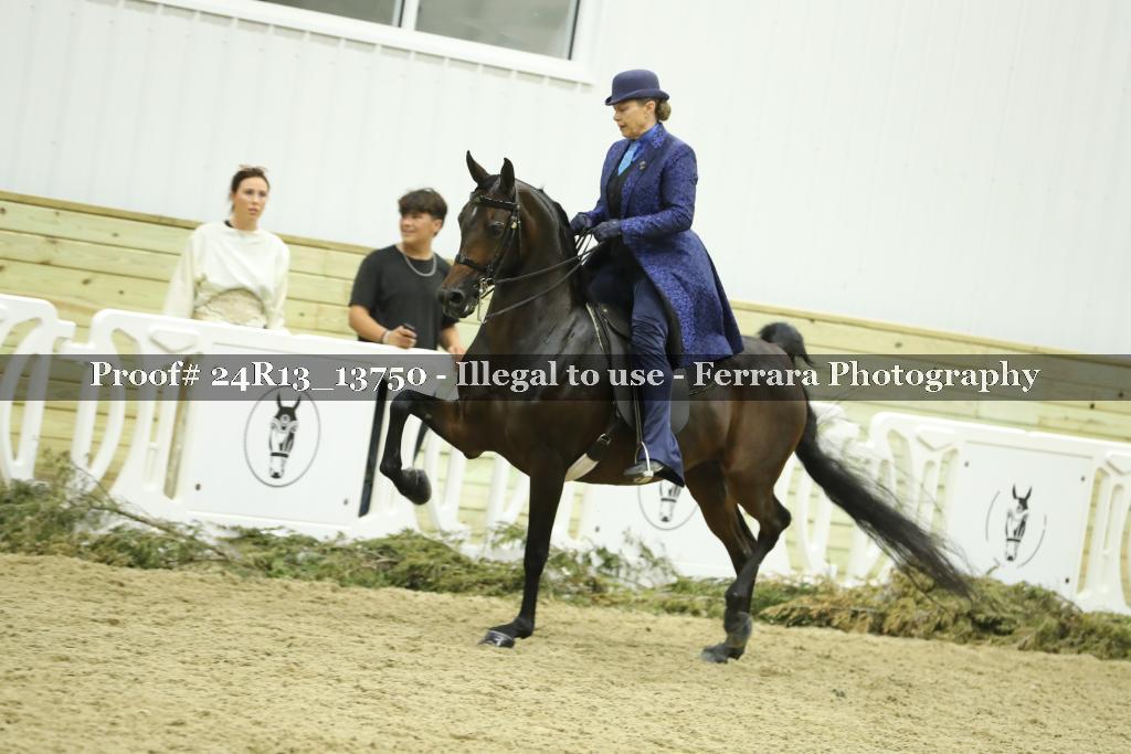 Proof Number 24R13_13750