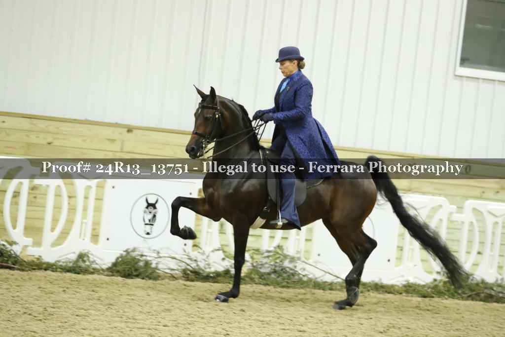 Proof Number 24R13_13751