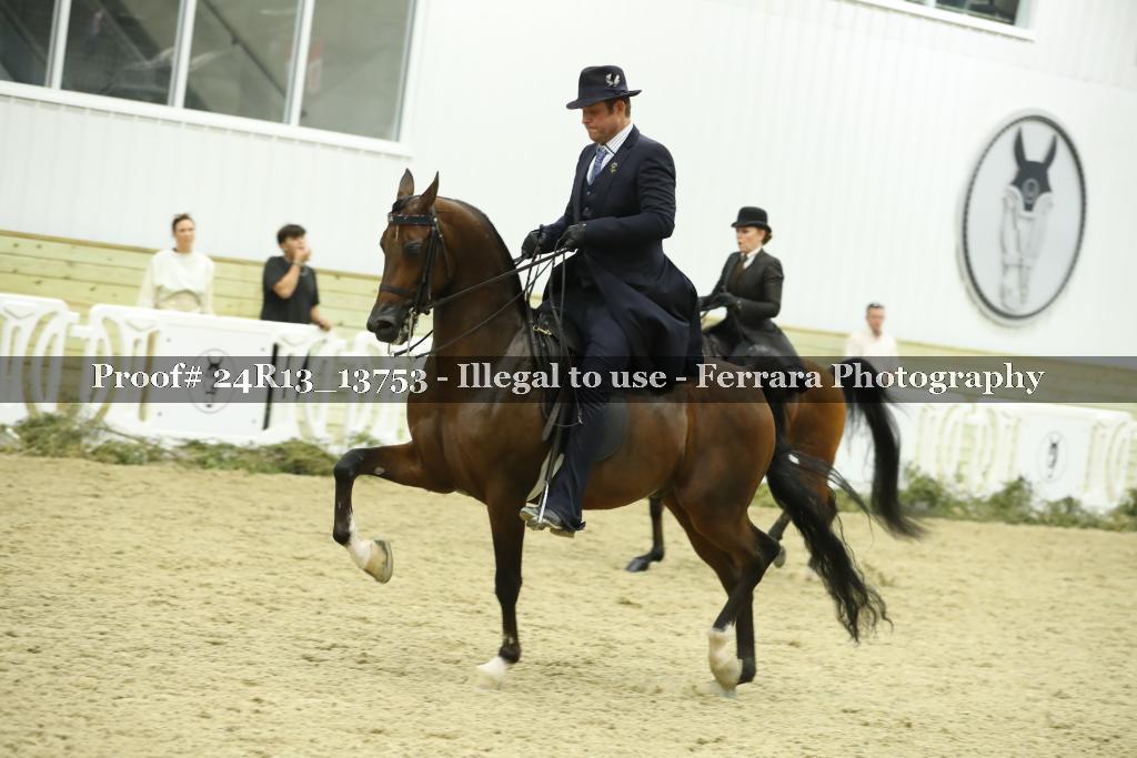 Proof Number 24R13_13753
