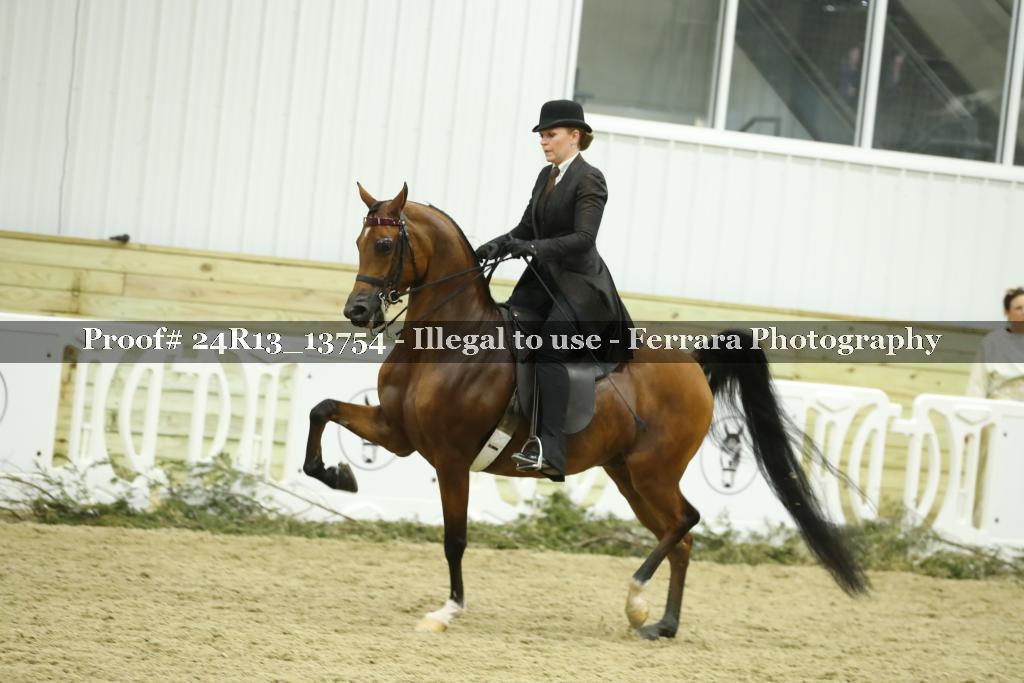 Proof Number 24R13_13754