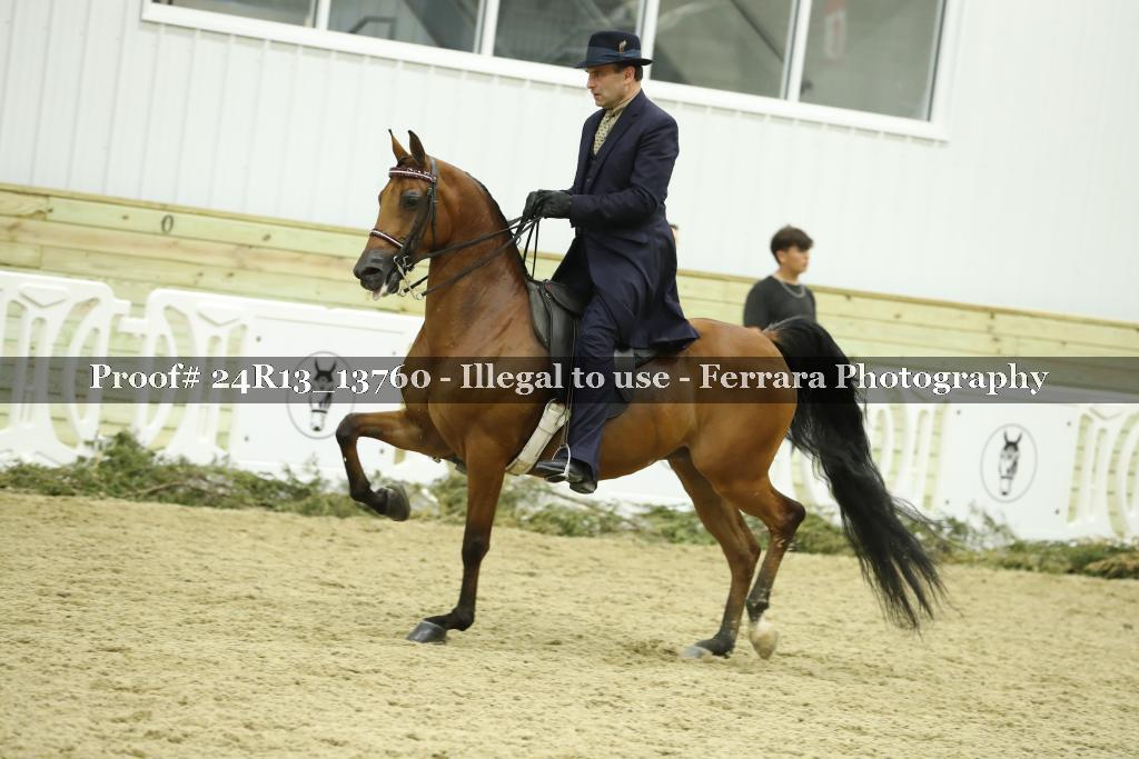 Proof Number 24R13_13760