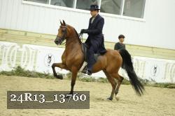 24R13_13760 thumbnail