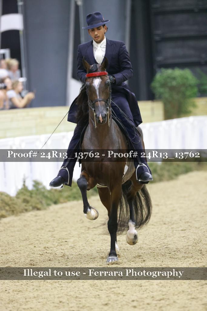 Proof Number 24R13_13762