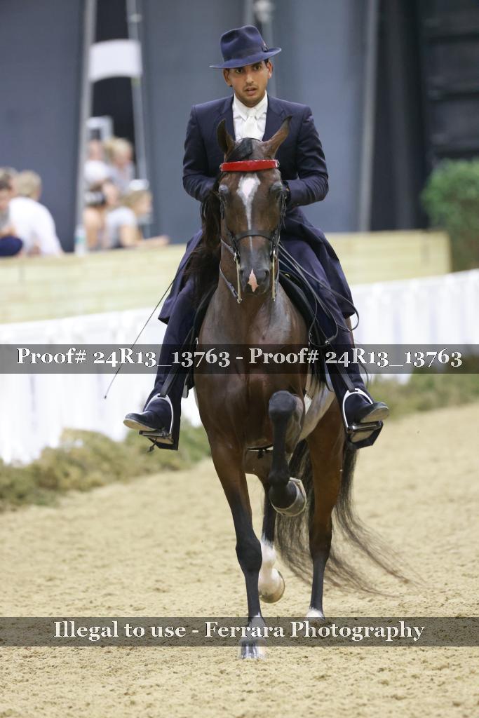 Proof Number 24R13_13763
