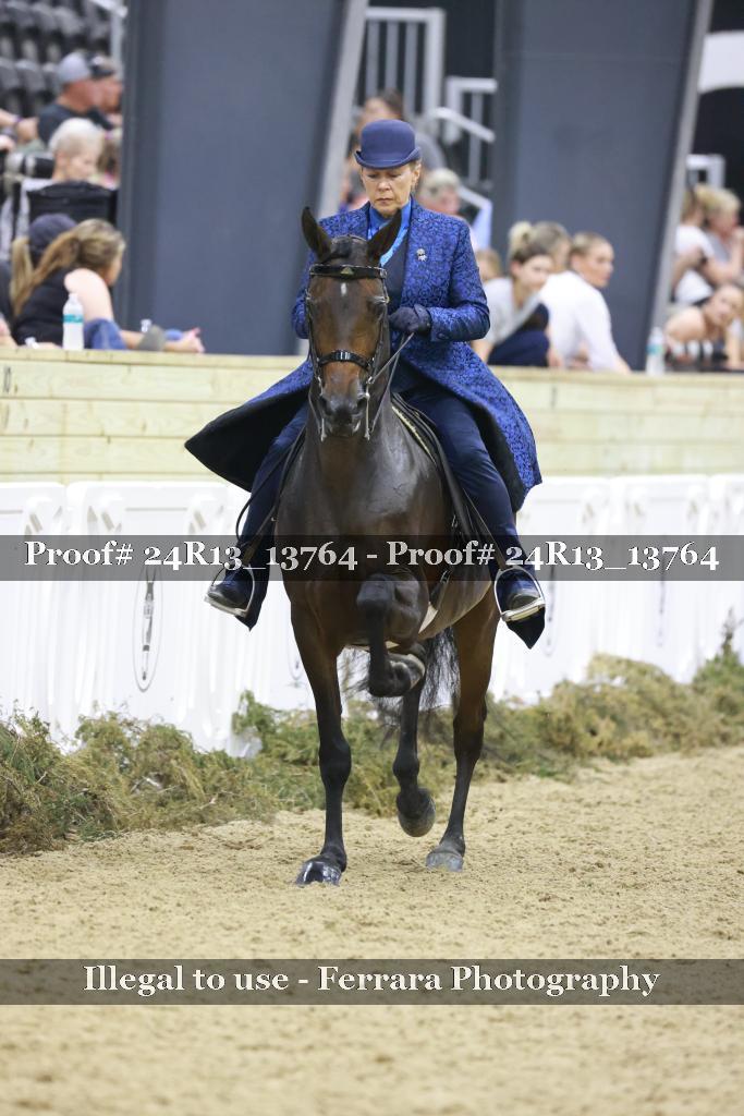 Proof Number 24R13_13764