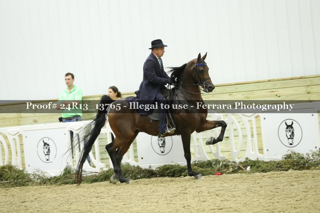 Proof Number 24R13_13765