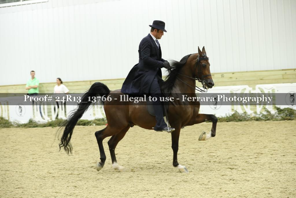 Proof Number 24R13_13766