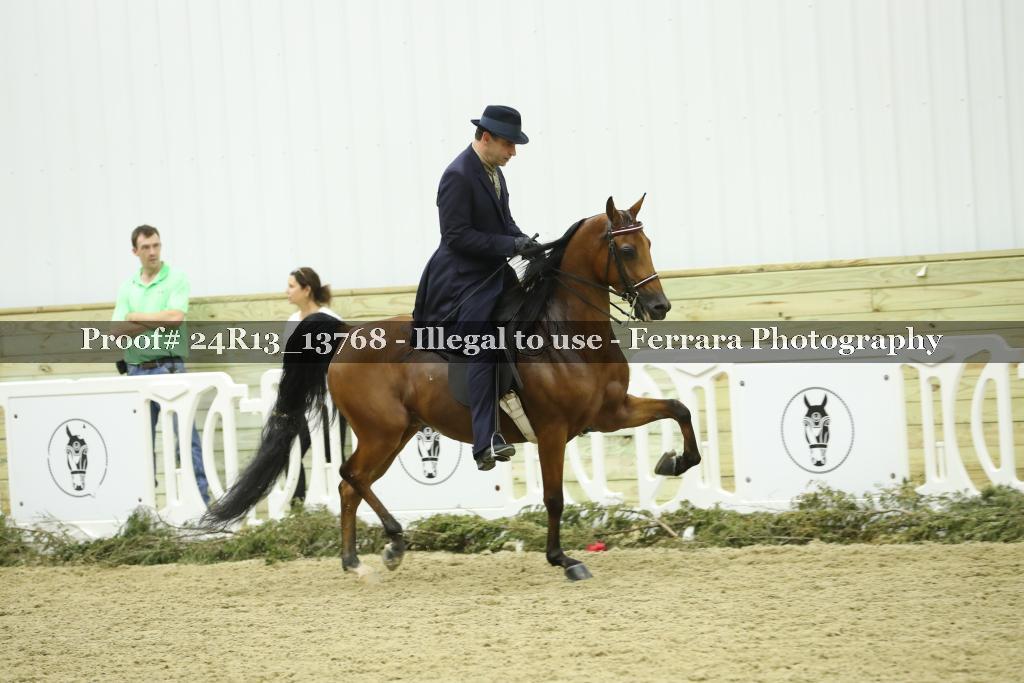 Proof Number 24R13_13768