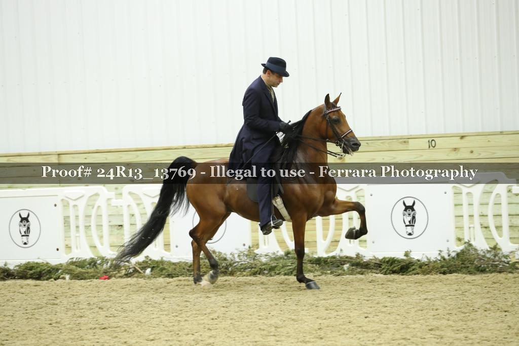 Proof Number 24R13_13769