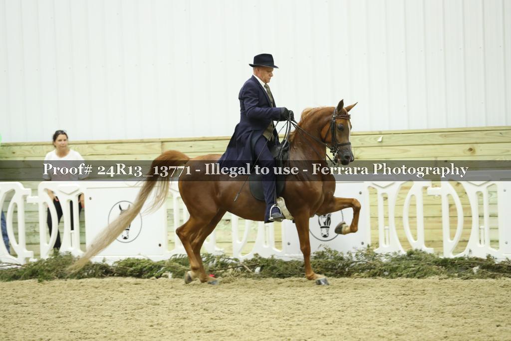 Proof Number 24R13_13771