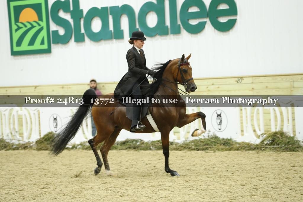 Proof Number 24R13_13772