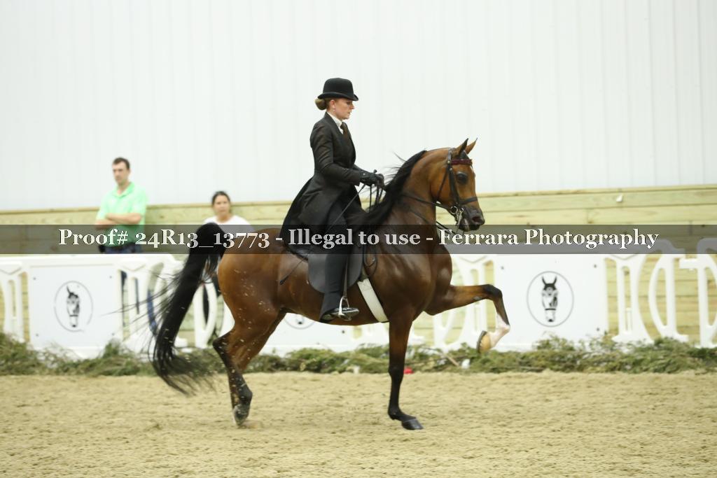 Proof Number 24R13_13773
