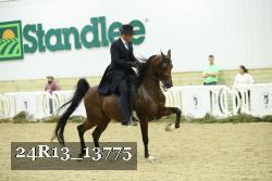 24R13_13775 thumbnail