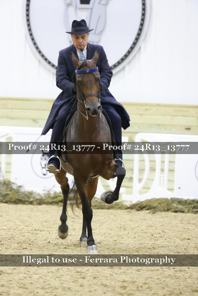 Proof Number 24R13_13777