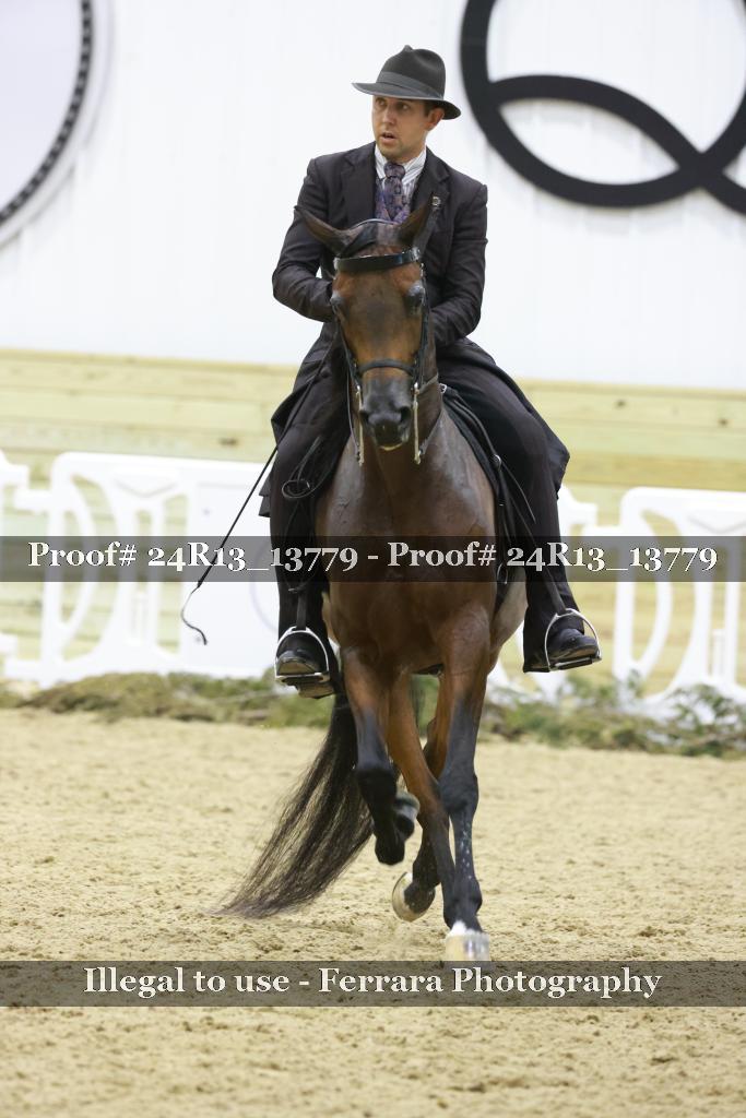 Proof Number 24R13_13779
