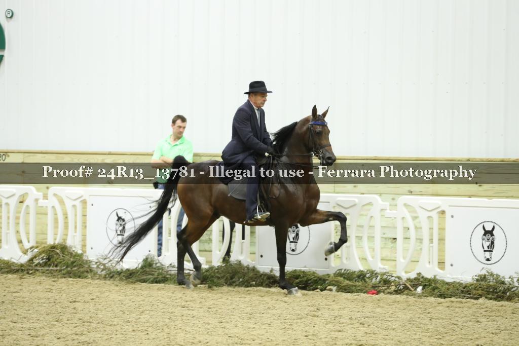 Proof Number 24R13_13781