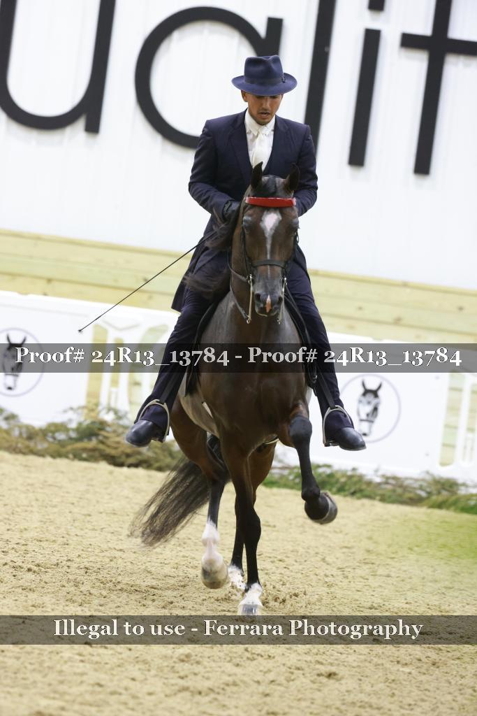 Proof Number 24R13_13784