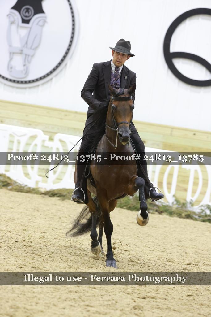 Proof Number 24R13_13785