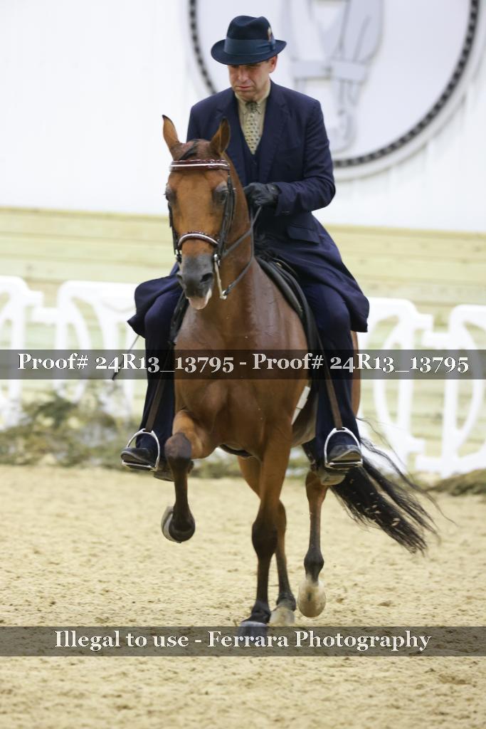 Proof Number 24R13_13795